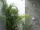 batu alam bali green