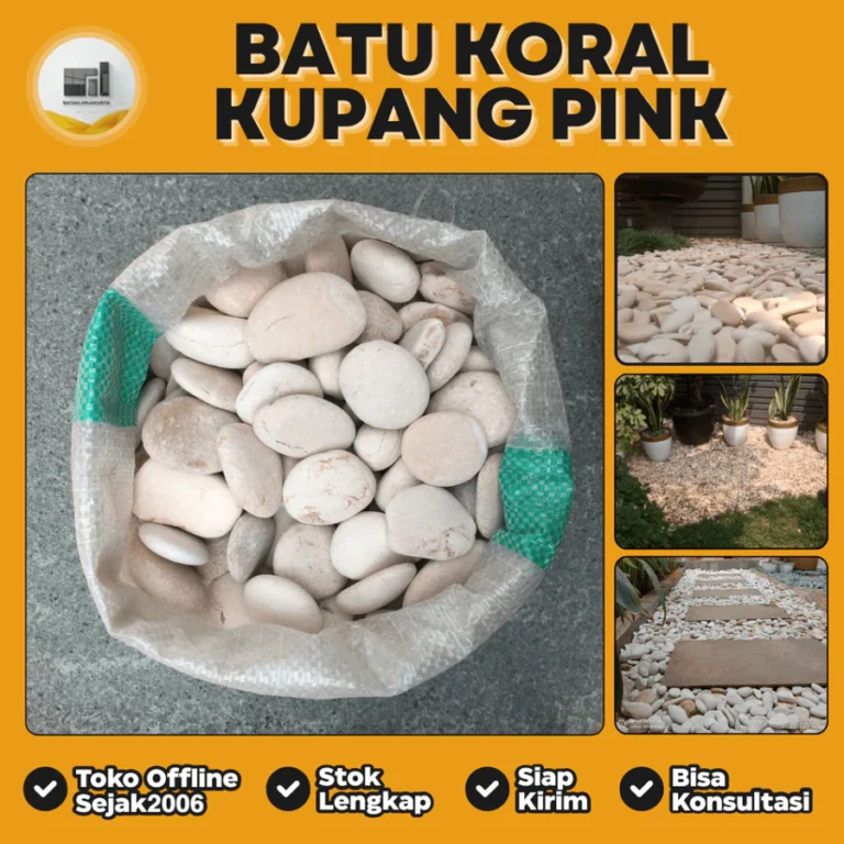 jual batu koral kupang pink