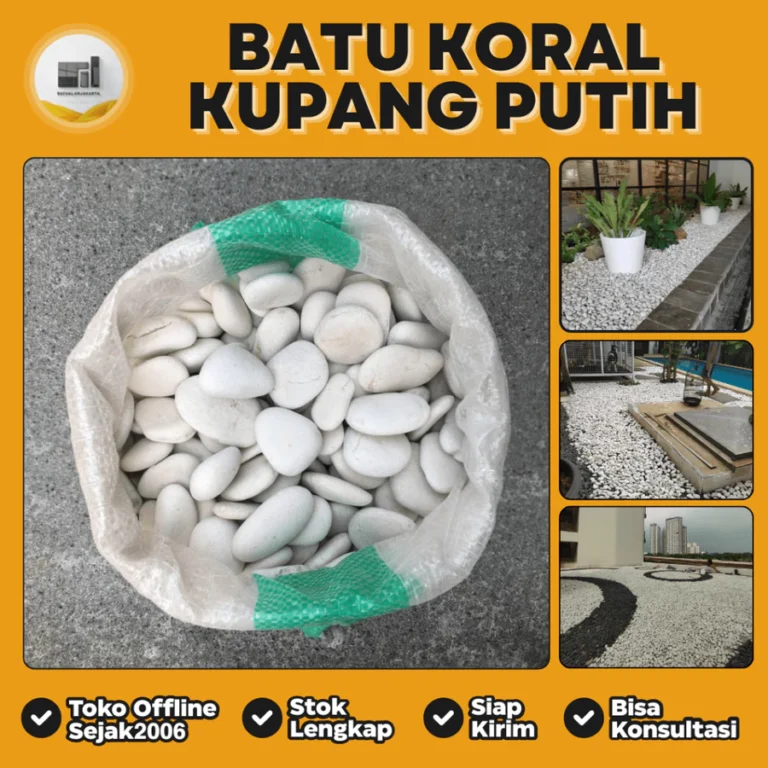 jual batu koral kupang putih