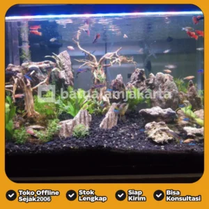 Pasir Malang Hitam untuk Taman, Aquascape, Kolam & Landscape