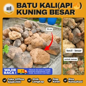 batu kali api kuning besar