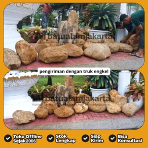 batu kali api kuning besar