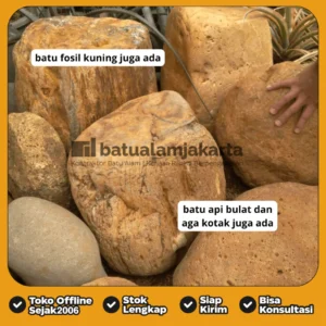 batu kali api kuning besar