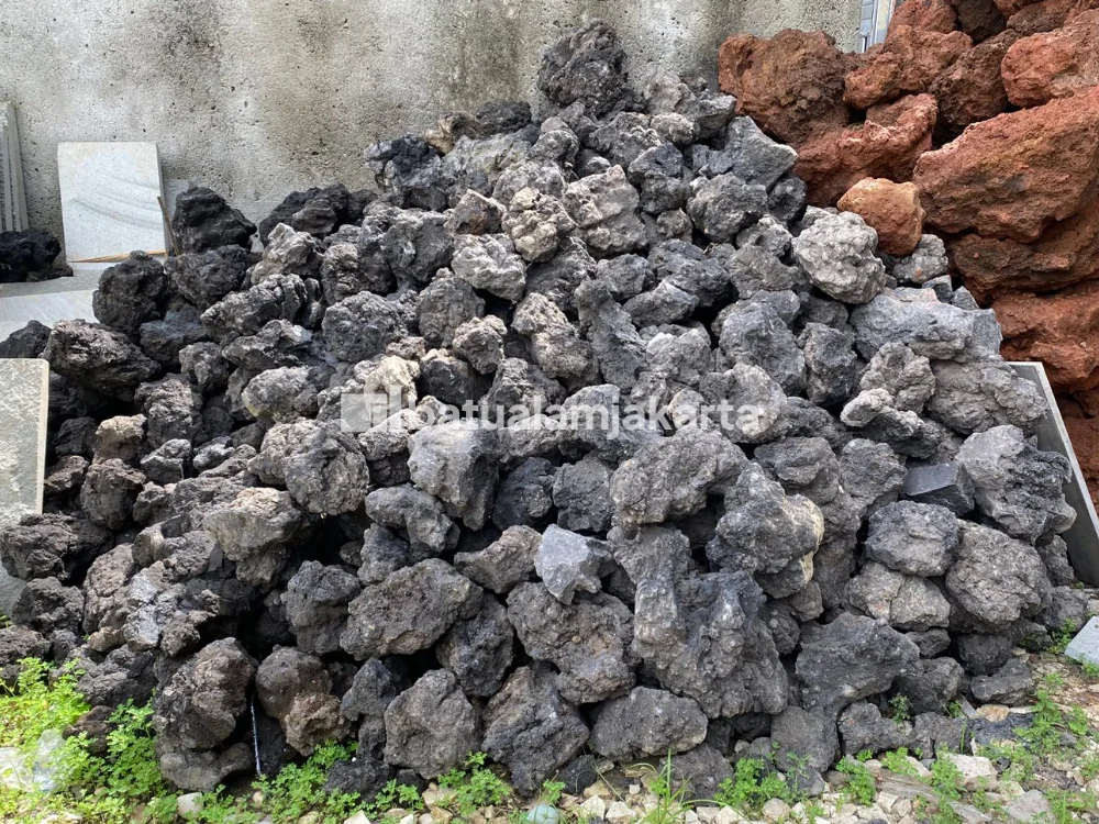batu karang hitam resapan
