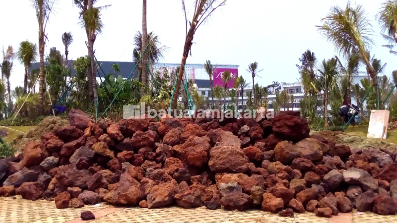 batu karang merah resapan