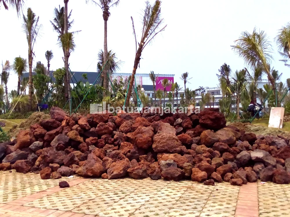 batu karang merah resapan