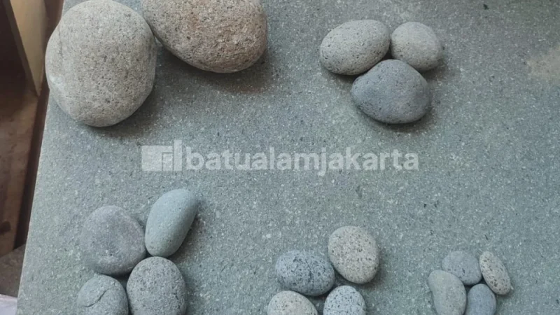 batu koral abu abu