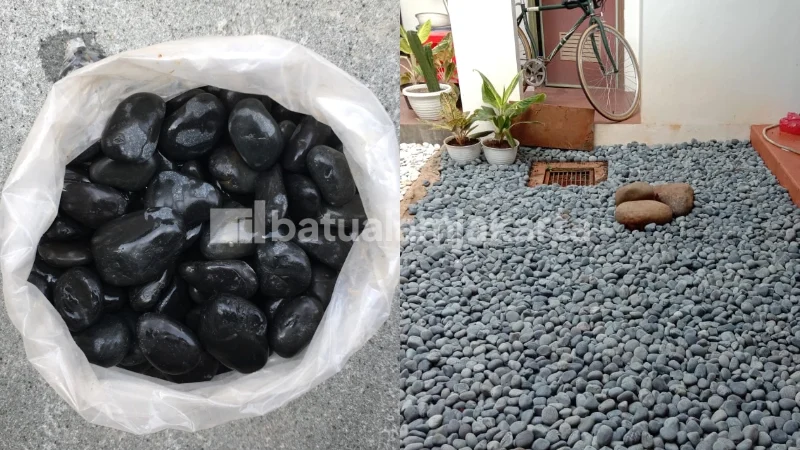 batu koral alor hitam