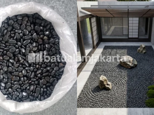 batu koral italy hitam