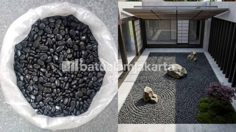 batu koral italy hitam