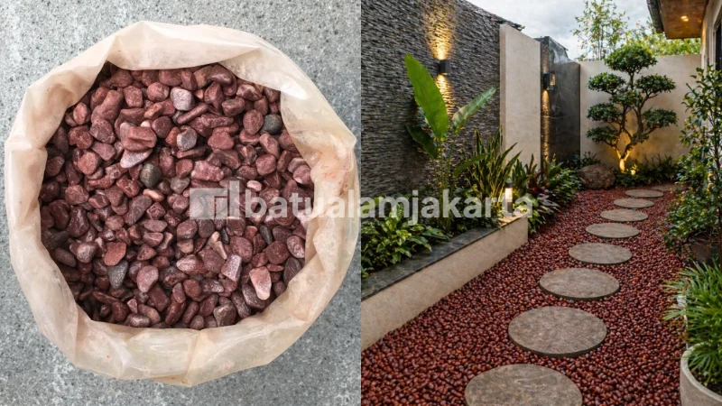 batu koral italy merah