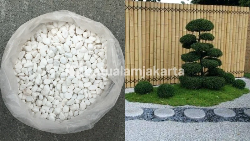 batu koral italy putih