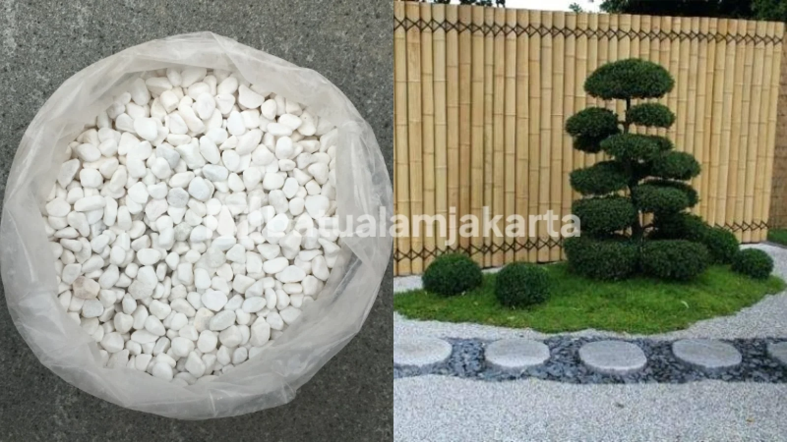 batu koral italy putih