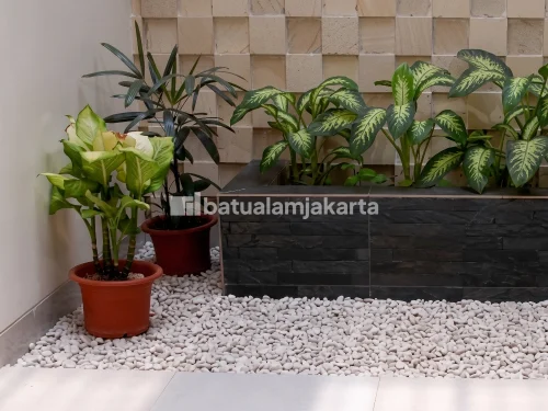 batu koral putih untuk taman kering jepang