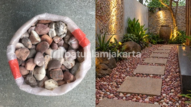 batu koral red singapur