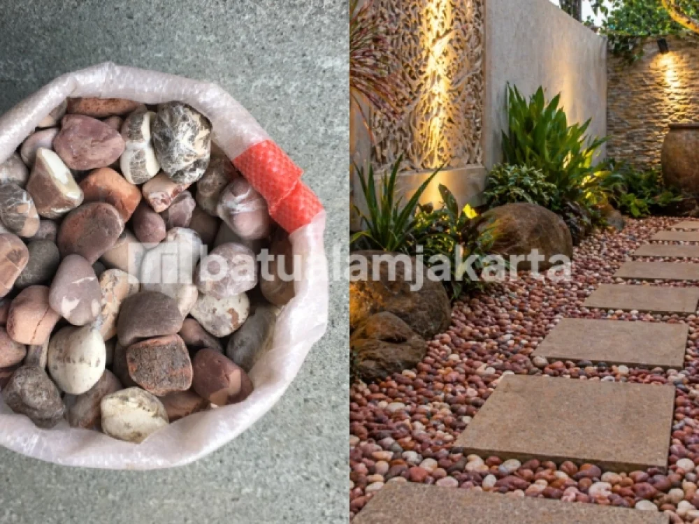 batu koral red singapur