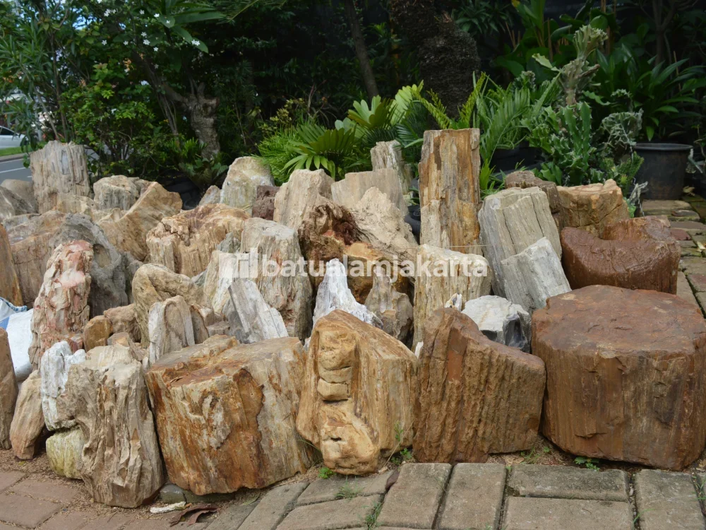 fosil kayu untuk taman