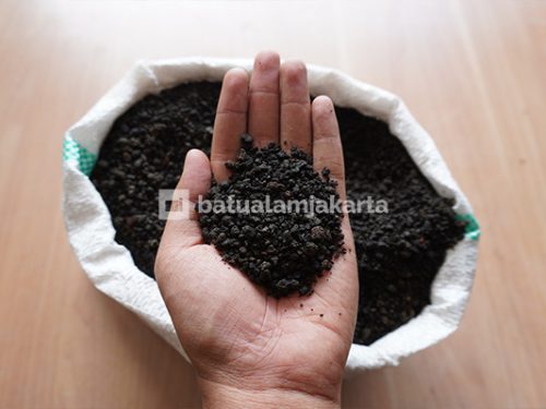 pasir malang